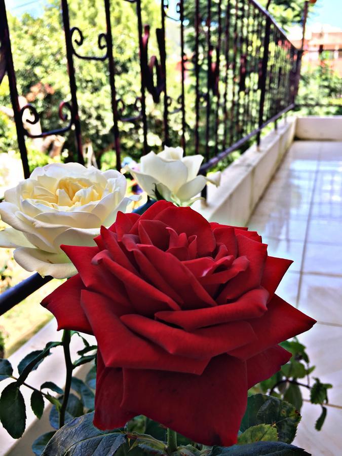 Hotel Samaipata Dış mekan fotoğraf